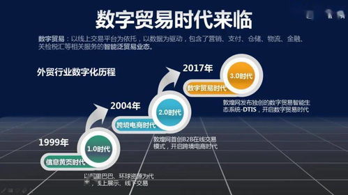 數(shù)字貿(mào)易時代 數(shù)字技術(shù)服務(wù)的崛起與挑戰(zhàn)